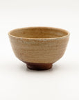 Karatsu Chawan by Nishioka Koju 