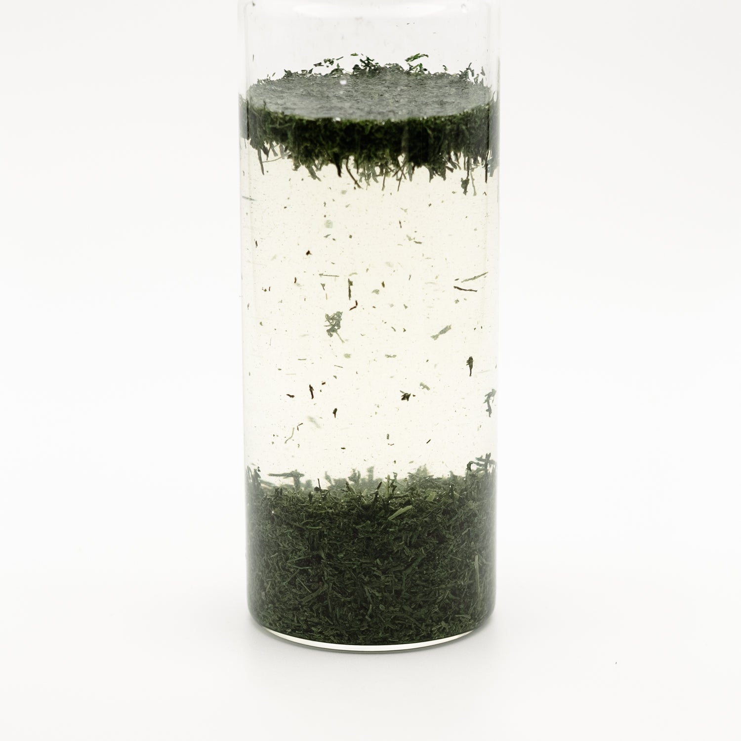 Cold Brew Bottle from Hario (White)