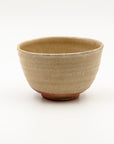 Karatsu Chawan by Nishioka Koju 