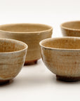 Karatsu Chawan by Nishioka Koju 