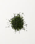 Organic Fukamushi Asanoka Sencha